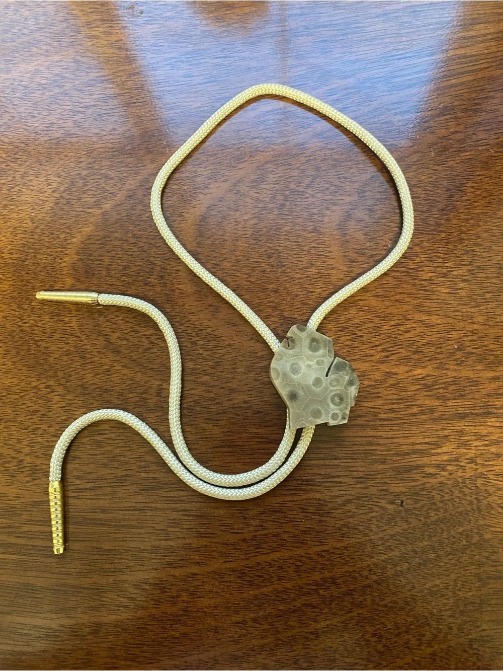 Rare vintage state of Michigan shaped petoskey stone slide bolo string tie